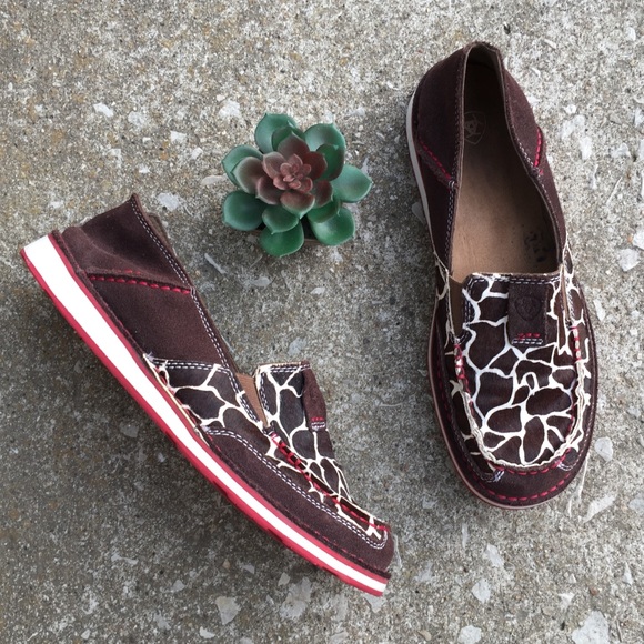 ariat giraffe cruiser